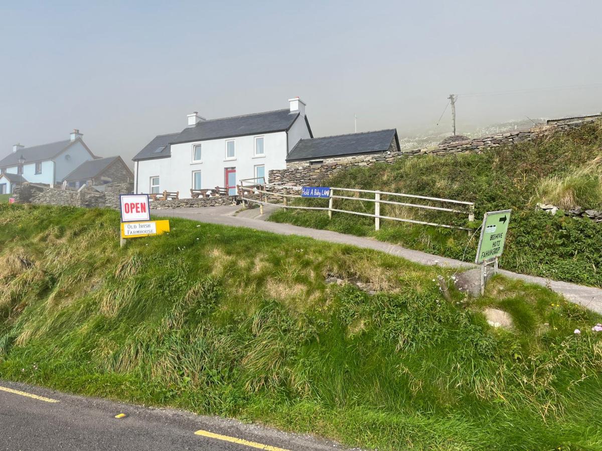 Old Irish Farmhouse 丁格尔 外观 照片
