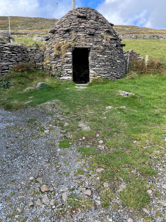 Old Irish Farmhouse 丁格尔 外观 照片