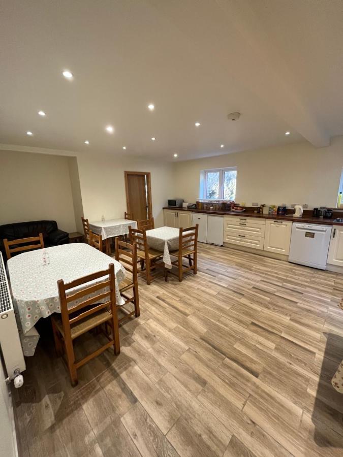 Old Irish Farmhouse 丁格尔 外观 照片