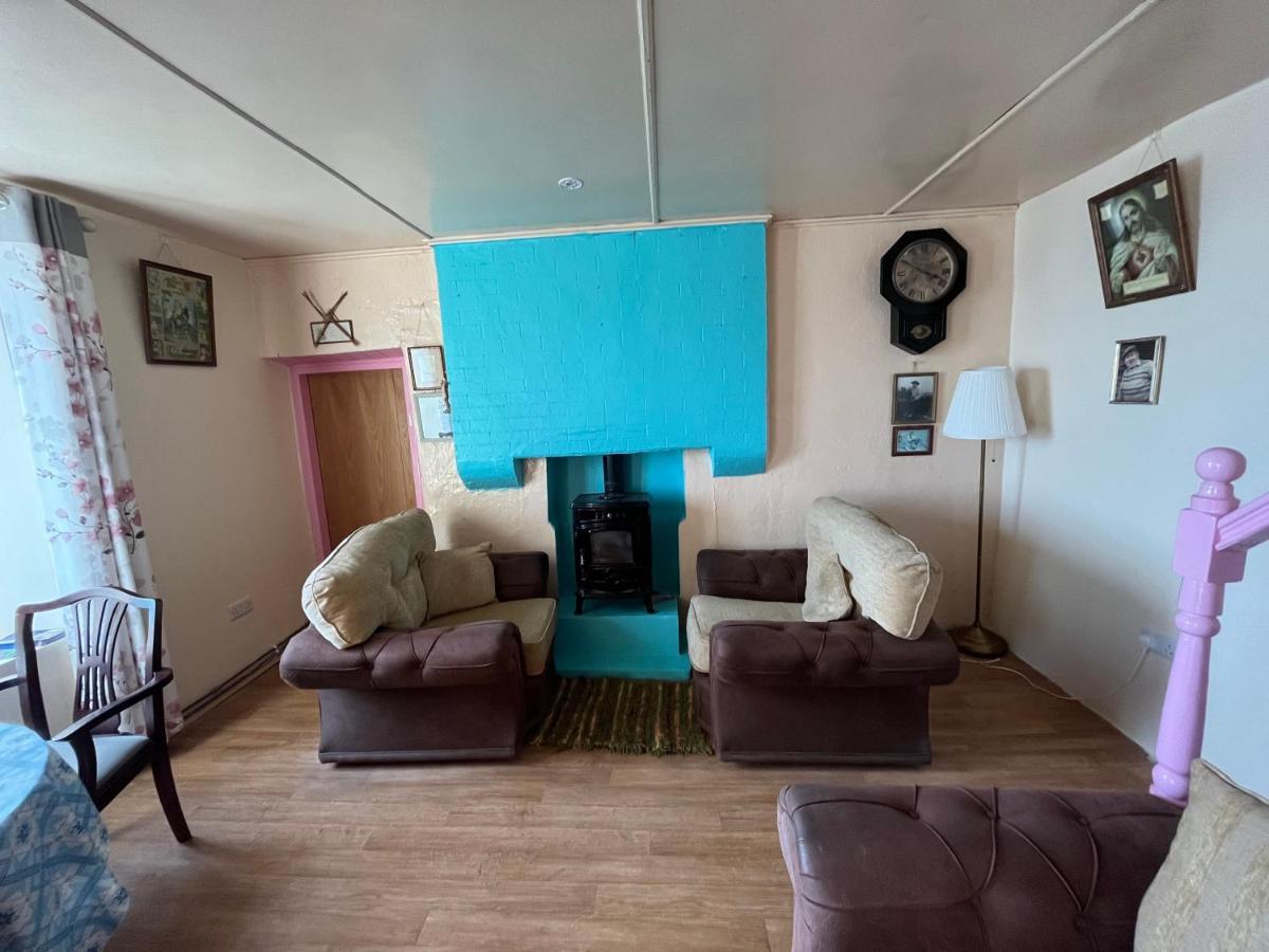 Old Irish Farmhouse 丁格尔 外观 照片