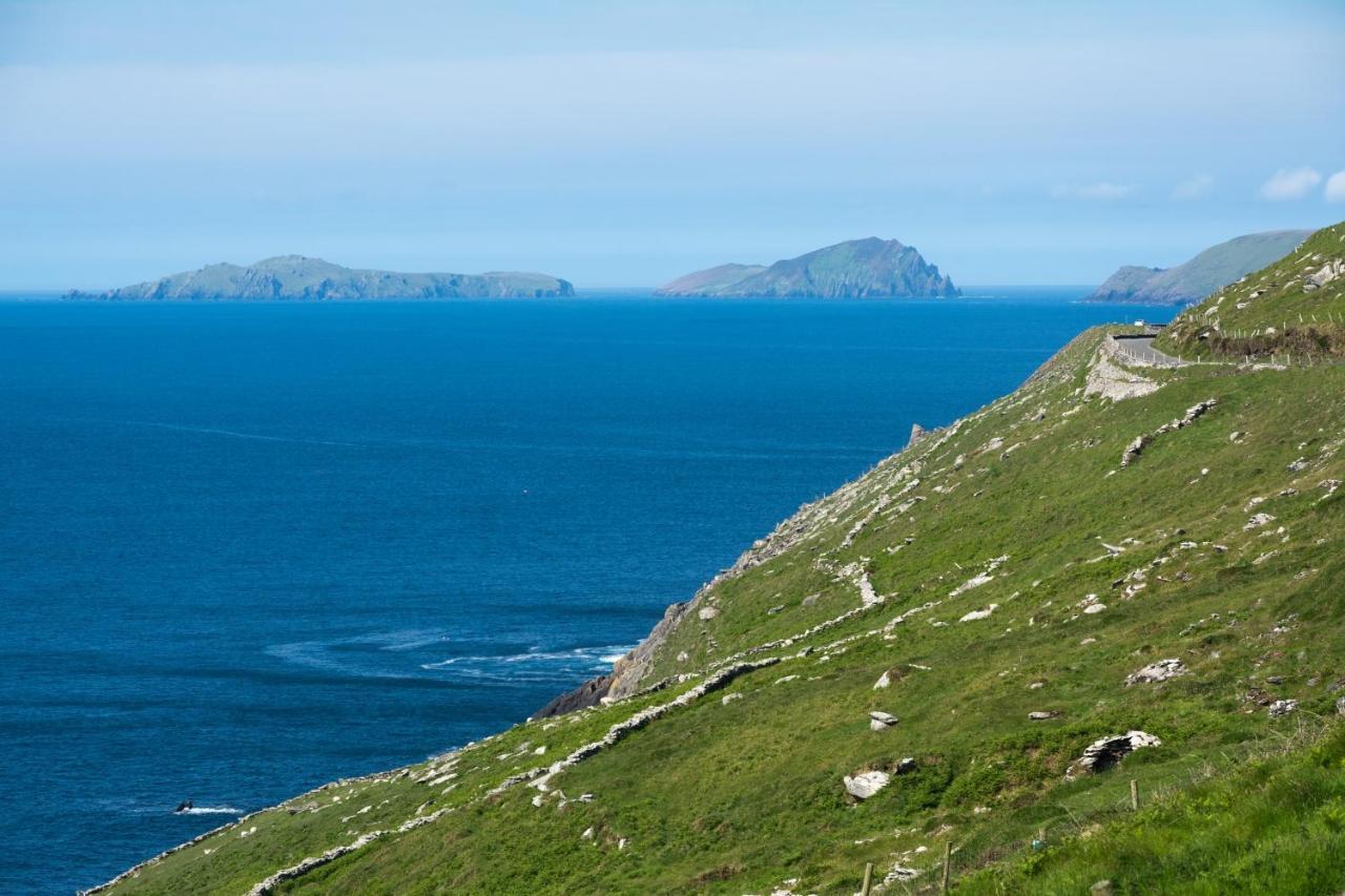 Old Irish Farmhouse 丁格尔 外观 照片
