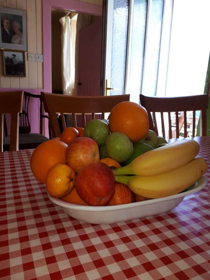 Old Irish Farmhouse 丁格尔 外观 照片